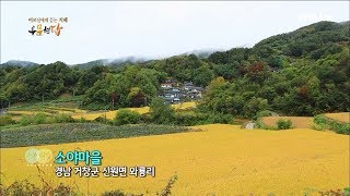 [우문현답] 81화. 혼자 사는 사위보니 마음이 많이 아프시죠? - 경남 거창군 신원면 소야마을 (2016.11.16,수)
