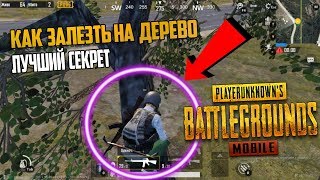 ПУБГ МОБАЙЛ СЕКРЕТ КАК ЗАЛЕЗТЬ НА ДЕРЕВО | Лучшие советы и хитрости pubg mobile