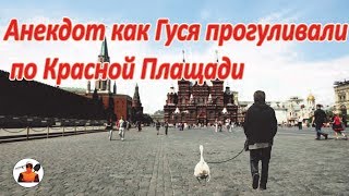 Смешно до Слёз Анекдот про гуся на  Красной Площади самый смешной шутка юмора.