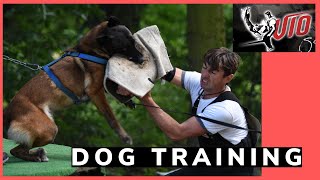 How to train a dog to bite a training sleeve with Viorel Scinteie !!!
