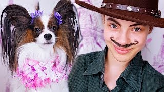 24 ЧАСА говори ДА! Мальчик-Девочка / Веселый Юки и любимая хозяйка Алиса / Челлендж от папильона