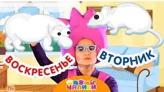 Чапики. Детская песенка мультик про дни недели и крокодила в зоопарке. Animals from the zoo.