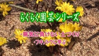 河村通夫のらくらく園芸12年3月 病気に負けない土づくり　蕗の薹に学ぶ