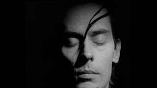 Peter Murphy - Cuts You Up