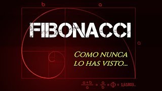 Fibonacci dinámico - Trading avanzado | Winpips