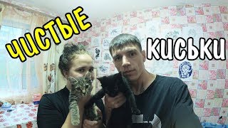 ВЛОГ : ПОМЫЛИ КОТЯТ ПЕРВЫЙ РАЗ