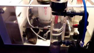 Reef Dynamics Recirculating Bio Pellet Reactor Update 1