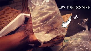 A "Necessary" Live Fish Unboxing