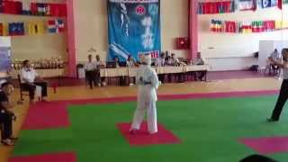 финал первенства и кубка россии по киокушинкай кан сочи лоо 2014