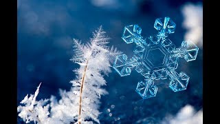 Снежинки - зимние цветы! - Детские песни и клипы - Snowflake / Best Children Songs
