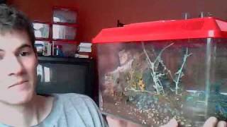 Arboreal T Enclosure Tutorial