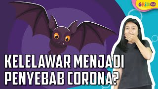 Kelelawar - Hewan Sumber Virus yang Dapat Hidup Hingga Puluhan Tahun