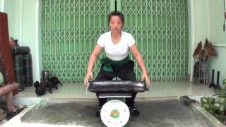 Hồng Gia Việt Nam Dưỡng Sinh Đạo Võ - Phần 2