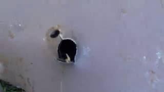 Sam Yang .45 cal 909s Light Hunter ( power test ) 2016
