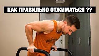 КАК ПРАВИЛЬНО ОТЖИМАТЬСЯ НА БРУСЬЯХ ?! Разбор техники! Дмитрий Кузнецов workout