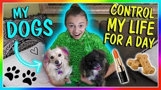 DOGS CONTROL ME FOR A DAY!? | We Are The Davises