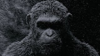 La Planète des Singes - Suprématie - Bande-annonce VOST