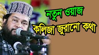 আকিজ ফাউন্ডেশন মাহফিলের তৃতীয় রজনীতে ফুলতলা কাঁপালেন | Tariq Munawar new full waz 2020