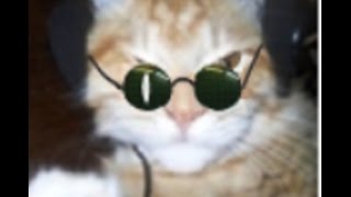 DOPPELGANGER 7.64 / "ЗАГАДКИ СЕВЕРНЫХ ТЕРРИТОРИЙ" - Развлекуха в Промзоне