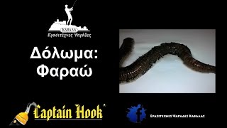 Δόλωμα: Φαραώ