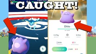 I CAUGHT DITTO IN POKEMON GO! and Battle Transformation!