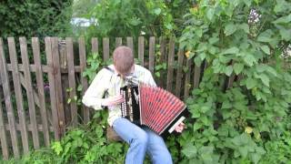 Гармонь. вальс "Дунайские волны" / The waltz "Waves of the Danube"