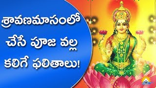 శ్రావణమాసంలో చేసే పూజ వల్ల కలిగే ఫలితాలు | Significance Of Sravana Masam