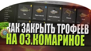 КАК ПОЛУЧИТЬ МЕДАЛЬ ПОЧЕТНЫЙ РЫБАК ● Русская Рыбалка 4