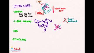 NRP Initial Steps by ACLS Certification Institute