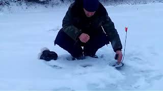 Рыбалка на донки. Открытие зимнего сезона 2018 - 2019