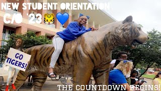 College Freshman Orientation 2019 | University Of Memphis