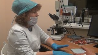 Пример проведения гемосканирования по капле крови