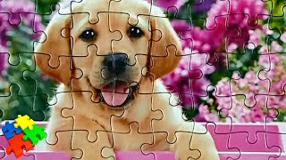ПАЗЛ ЩЕНОК (анимация) - Stop motion Castorland Puzzle