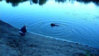 Река Днепр в Смоленске от www.avto-brichka.ru