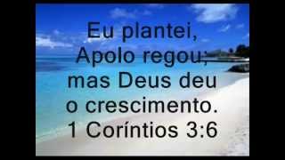 JESUS NOME PROFANO?(18)