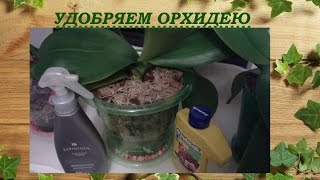 Удобрение орхидеи Фаленопсис