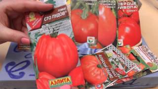 ОБЗОР СЕМЯН .(часть 2 я ).Томаты .