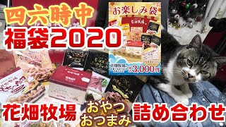【2020年福袋開封】四六時中の3000円福袋は花畑牧場のおやつ＆おつまみ詰め合わせで超お得！リキちゃんのクンクンチェック☆猫と一緒に商品紹介