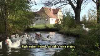 Nach meiner Heimat, da zieht's mich wieder