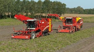 GRIMME | Best of potato harvesting technology 2011