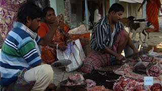AMAZING Fish Market in SUNDARBAN, সুন্দরবন