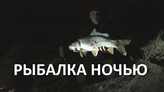 Ночная рыбалка. Видео отчёт о ночной рыбалке на сома и карпа.