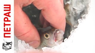 Зимняя рыбалка НА СПОРТИВНУЮ МОРМЫШКУ