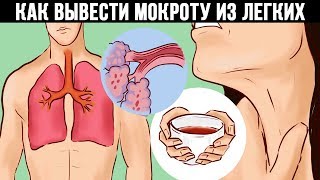 КАК ВЫВЕСТИ МОКРОТУ ИЗ ЛЕГКИХ?!