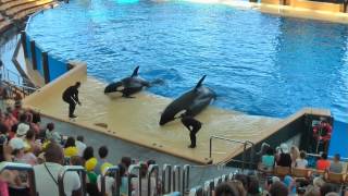 Loro Parque - Puerto de la Cruz - Teneriffa
