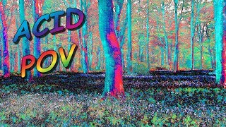 Semi-Realistic Acid Trip POV (Point of View)