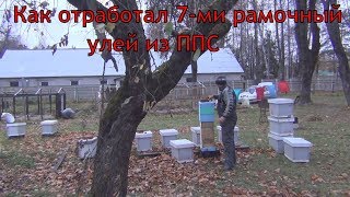 Как отработал 7-ми рамочный улей из ППС Обзор 7 ми рамочного улья от канала Белорусское Пчеловодство