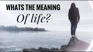 The Most Philosophical Answer To The Meaning of Life