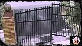 Самые новые угарные приколы   Неудачи воров