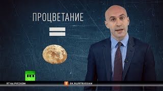 Кнут и пряник в стиле Трампа: стоит ли Пхеньяну верить обещаниям США